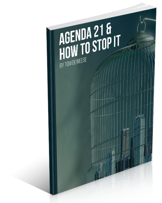 Agenda 21 & How To Stop It (Ebook)